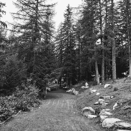 Chalet Val Ferret Mont Blanc Exclusive Chalet Courmayeur